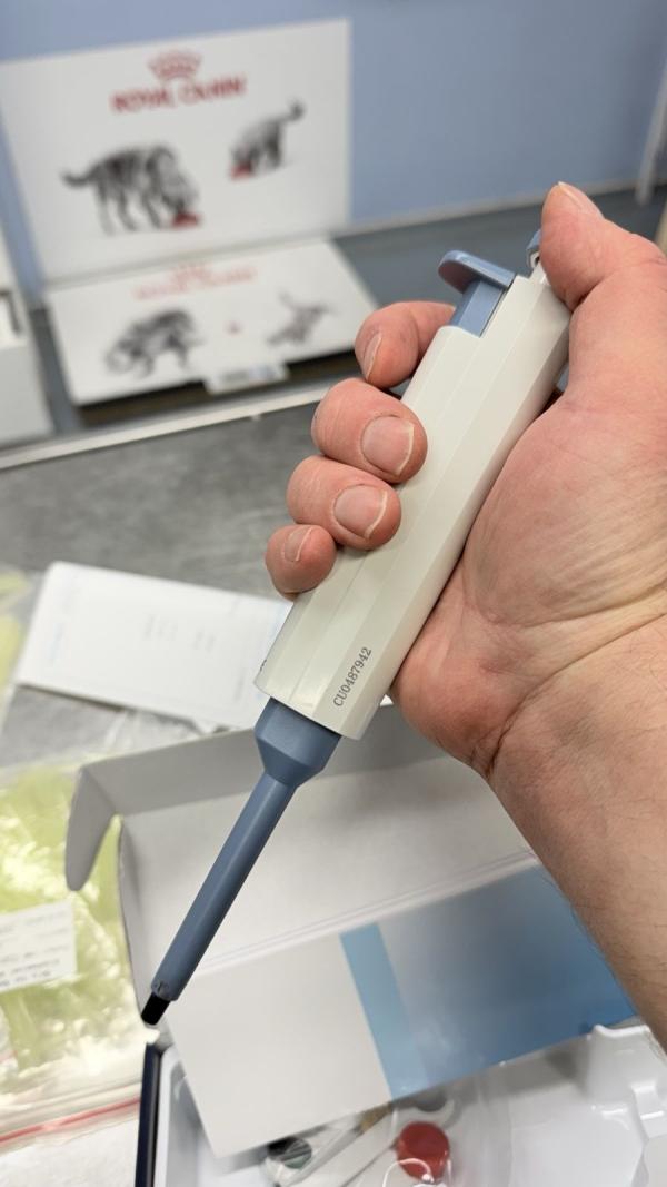 Saját laboratórium, gyorstesztek, mintavétel speciális laboratóriumi vizsgálatokhoz