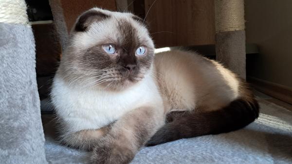 Saját laboratórium, gyorstesztek, mintavétel speciális laboratóriumi vizsgálatokhoz